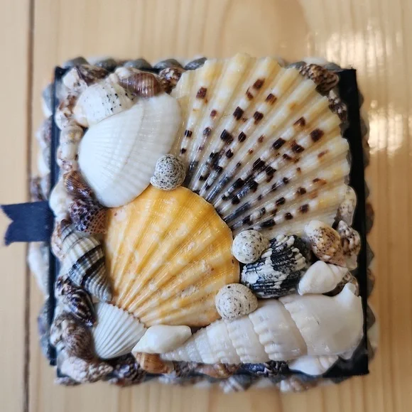 Sea Shell Box Trinkets Jewelry - Picture 3 of 12
